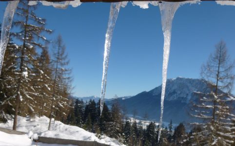 Eiszapfen Bergwald